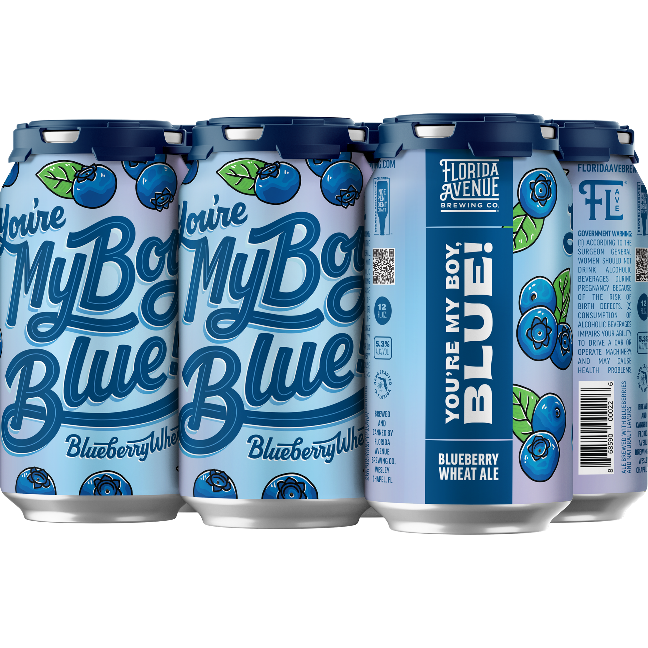 0d193a226e7c5c55a16097532d43a552.png Florida Avenue Your My Boy Blue - Image 1