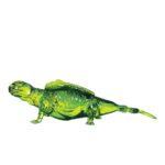 Don Chinto Reposado Tequila Iguana - Image 3