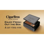 Romeo Y Julieta Premium Cigars Set + Personal Humidor by CigarBros - Image 12